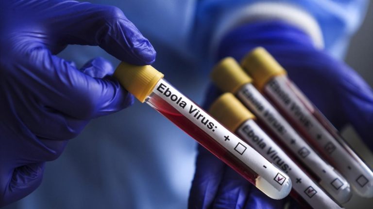 DSÖ: KDC'de Ebola salgını, uluslararası öneme sahip halk sağlığı acil durumu olmaya devam ediyor