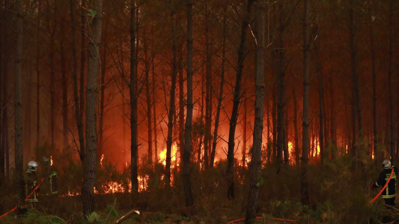 Fransa'nın Landes vilayetindeki orman yangınında 1100 hektarlık alan küle döndü