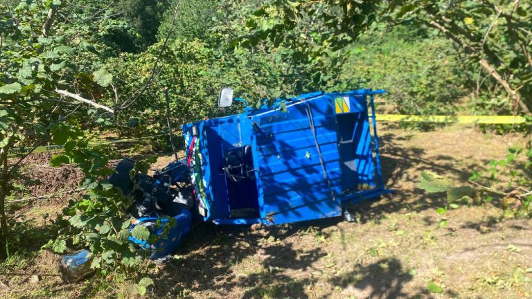 Ordu'da patpat devrildi: 2 ölü, 11 yaralı