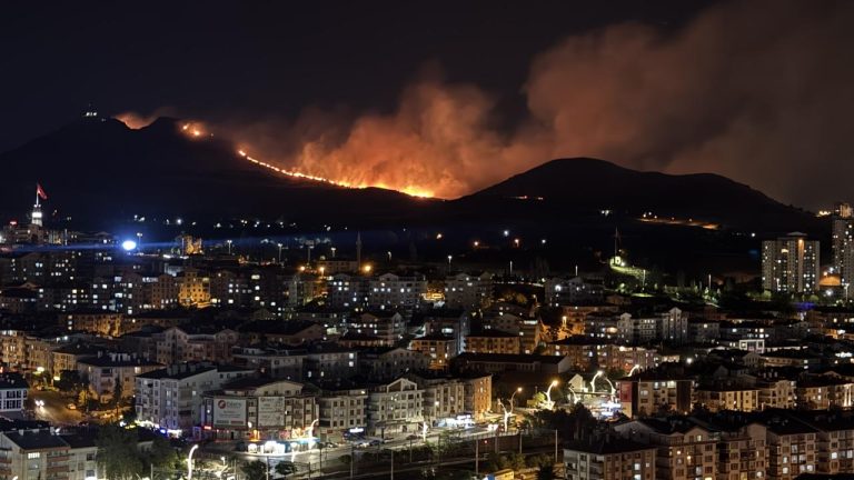 Ankara'da ağaçlık alanda çıkan yangının faili yakalandı