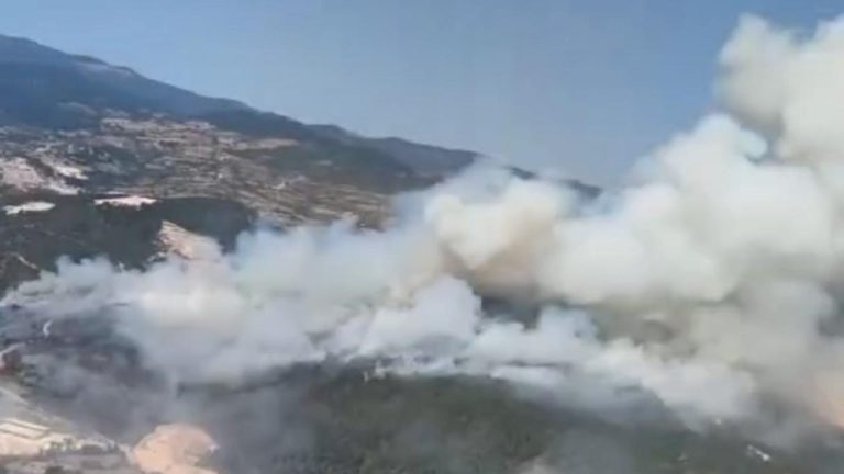 Balıkesir Sındırgı'daki yangın kontrol altına alındı
