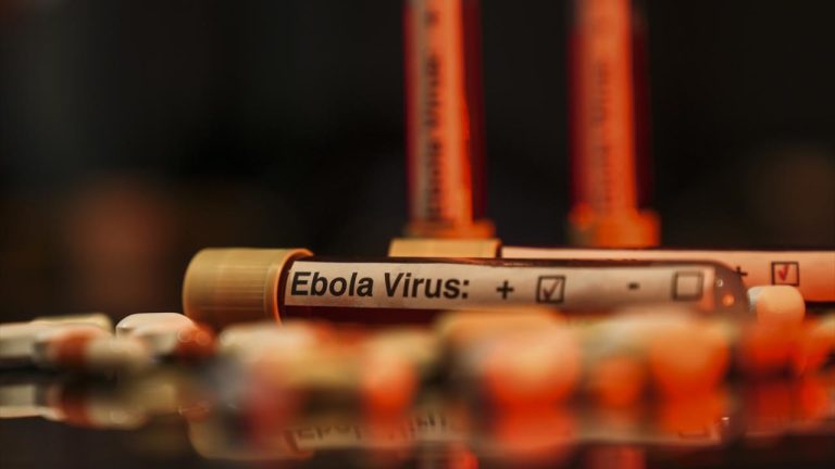 Kongo Demokratik Cumhuriyetinde Ebola salgınında vaka sayısı 7 bini aştı