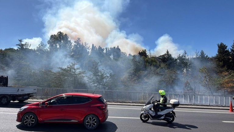 İstanbul'da otluk alanda çıkan yangın söndürüldü