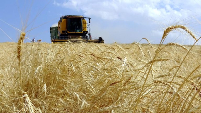 Tarım ÜFE ağustosta azaldı