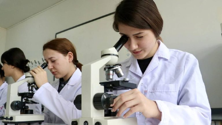 ARGE merkezi sayısı 1365'e yükseldi