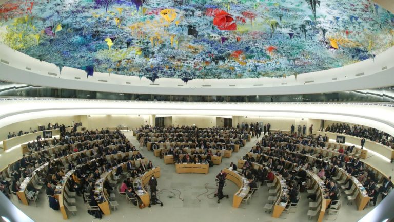 BM İnsan Hakları Konseyinin 15 yeni üyesi belli oldu