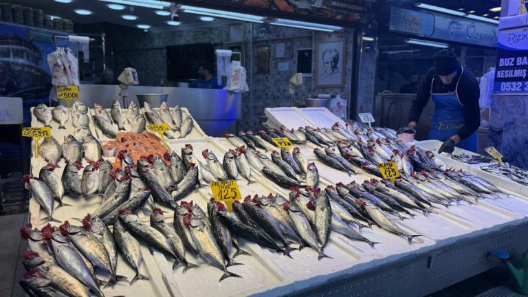 Balıkçı tezgahlarında palamut ilgi görüyor